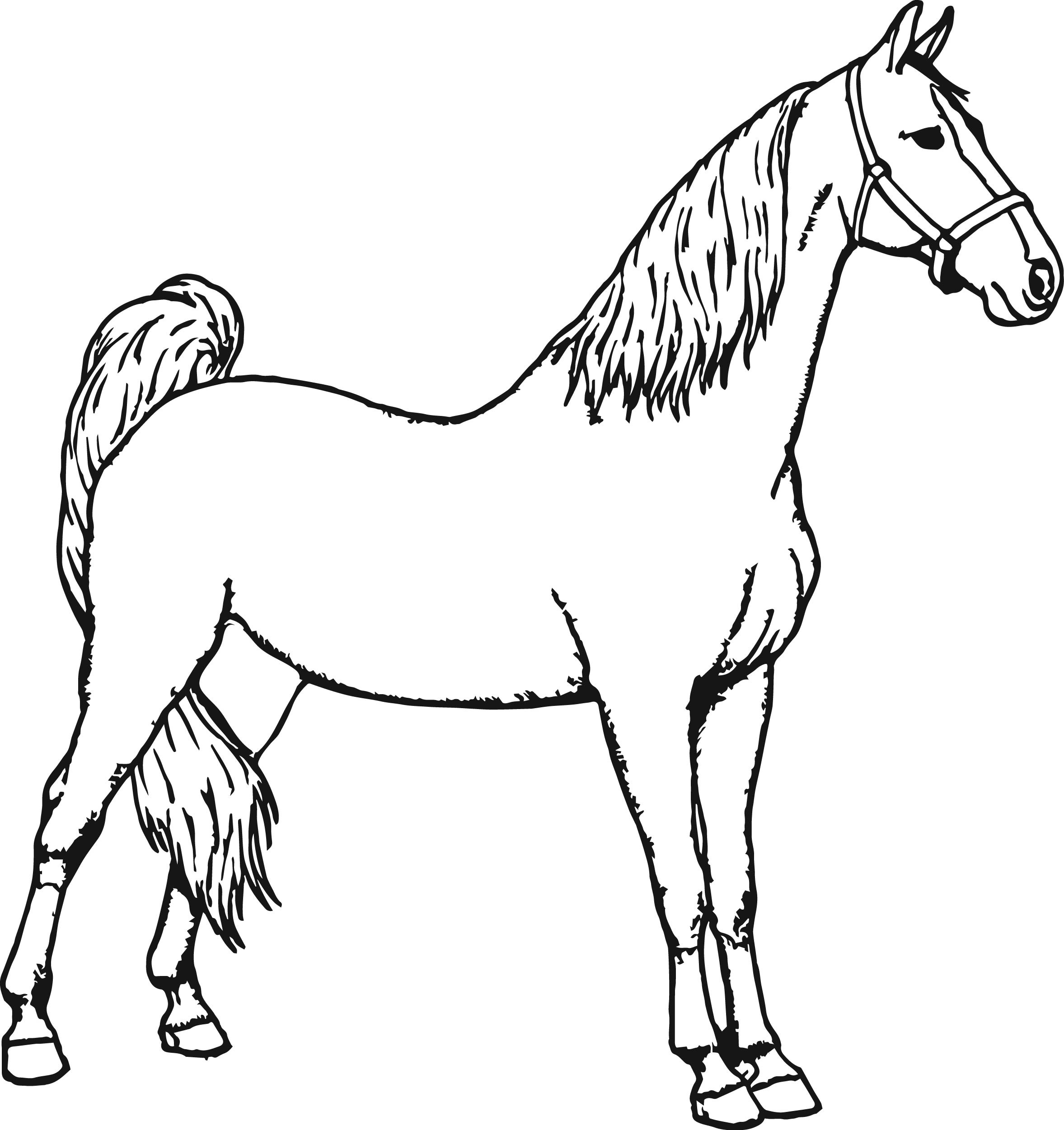 coloring pages horse - Hamle.rsd7.org