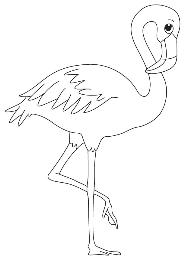 flamingo coloring sheet – apartamentosbogota.co