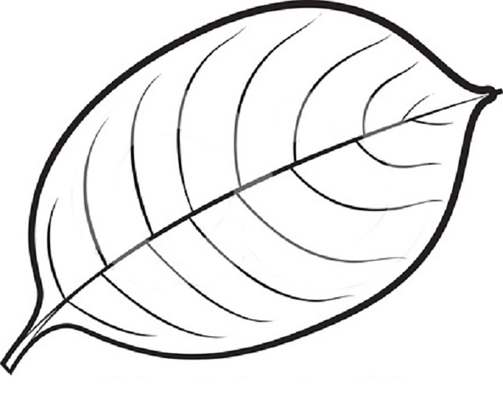 Mango Leaves Coloring Pages For Kids #Om : Printable Leaves ...
