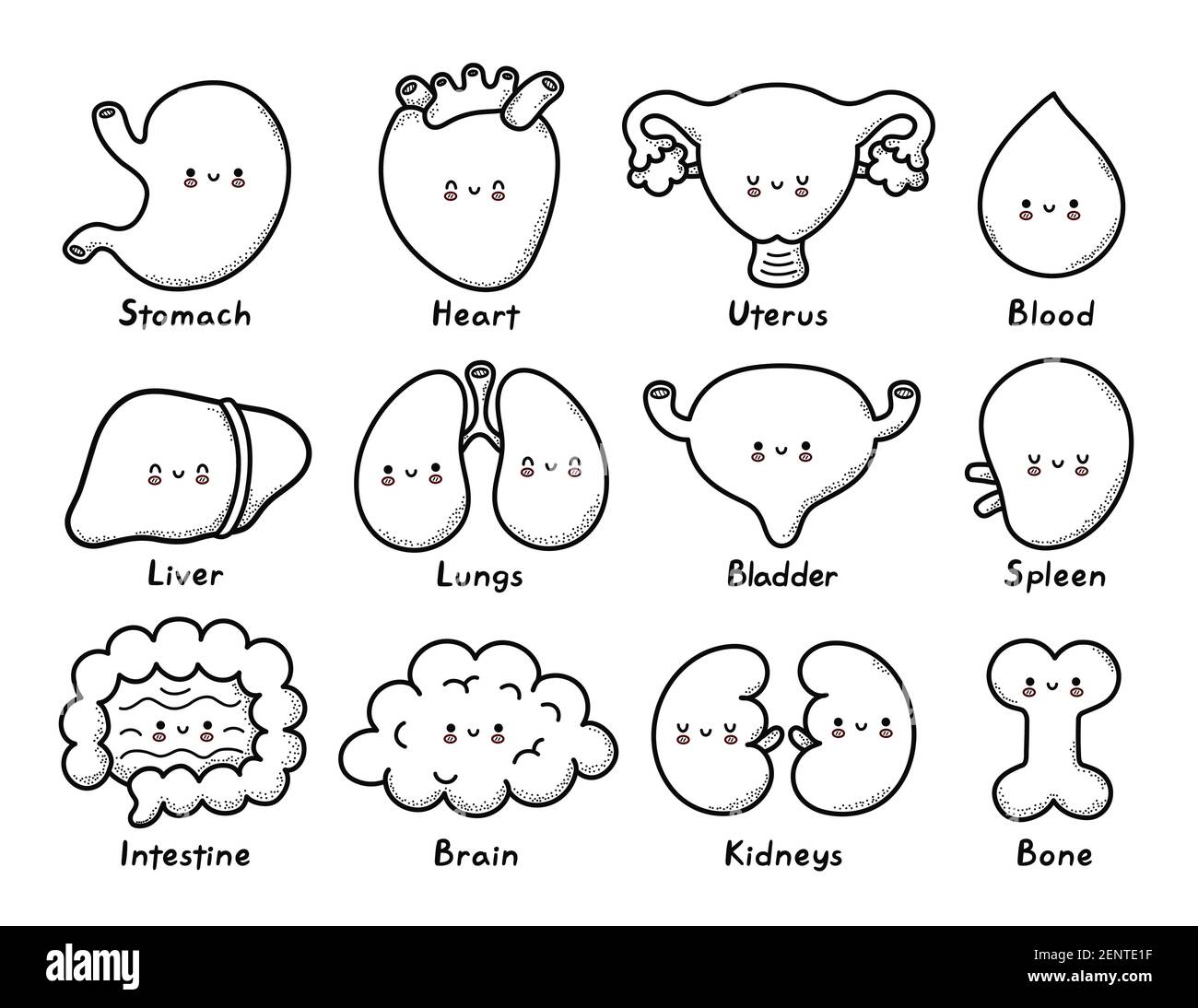 Cute healthy human organs character coloring page outline. Vector line  cartoon kawaii character illustration icon.  Bone,stomach,heart,uterus,blood,liver,lungs,bladder,splee,intestine,kidneys  Stock Vector Image & Art - Alamy