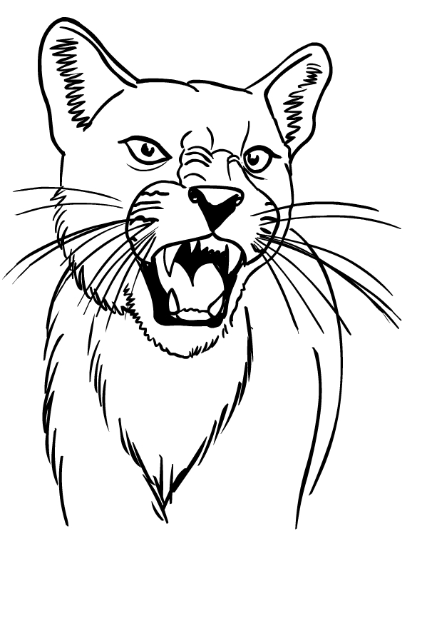 Drawing of puma coloring page