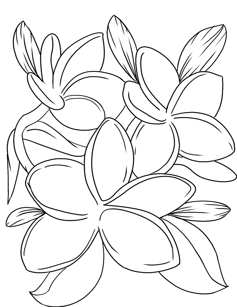 Violet Coloring Pages - Best Coloring Pages For Kids in 2020 | Printable  flower coloring pages, Flower coloring pages, Coloring pages