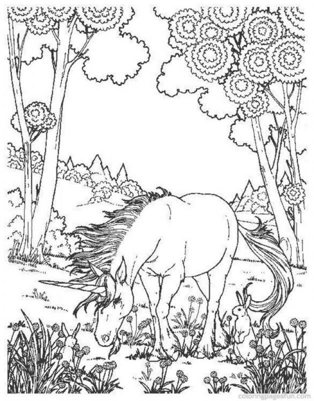 coloring books : Hard Printable Coloring Pages Challenging Printable Coloring  Pages‚ Free Coloring Pages For Adults Printable Hard To Color Pdf‚ Free  Printable Difficult Coloring Pages For Adults plus coloring bookss