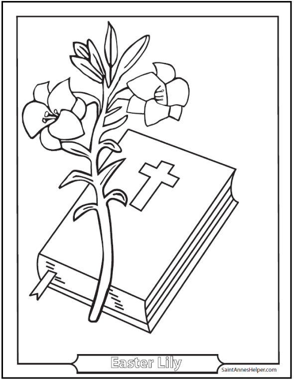 Easter Lily Coloring Page And Bible ❤ Printable Easter Coloring Pages