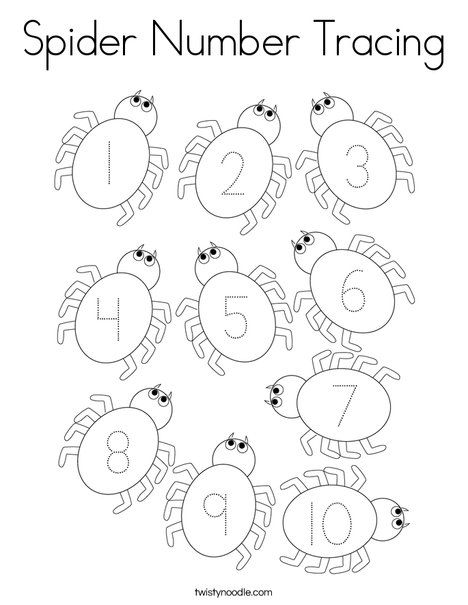 Spider Number Tracing Coloring Page - Twisty Noodle | The very busy spider,  Bug coloring pages, Coloring pages