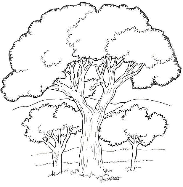 Deciduous trees - Trees Kids Coloring Pages