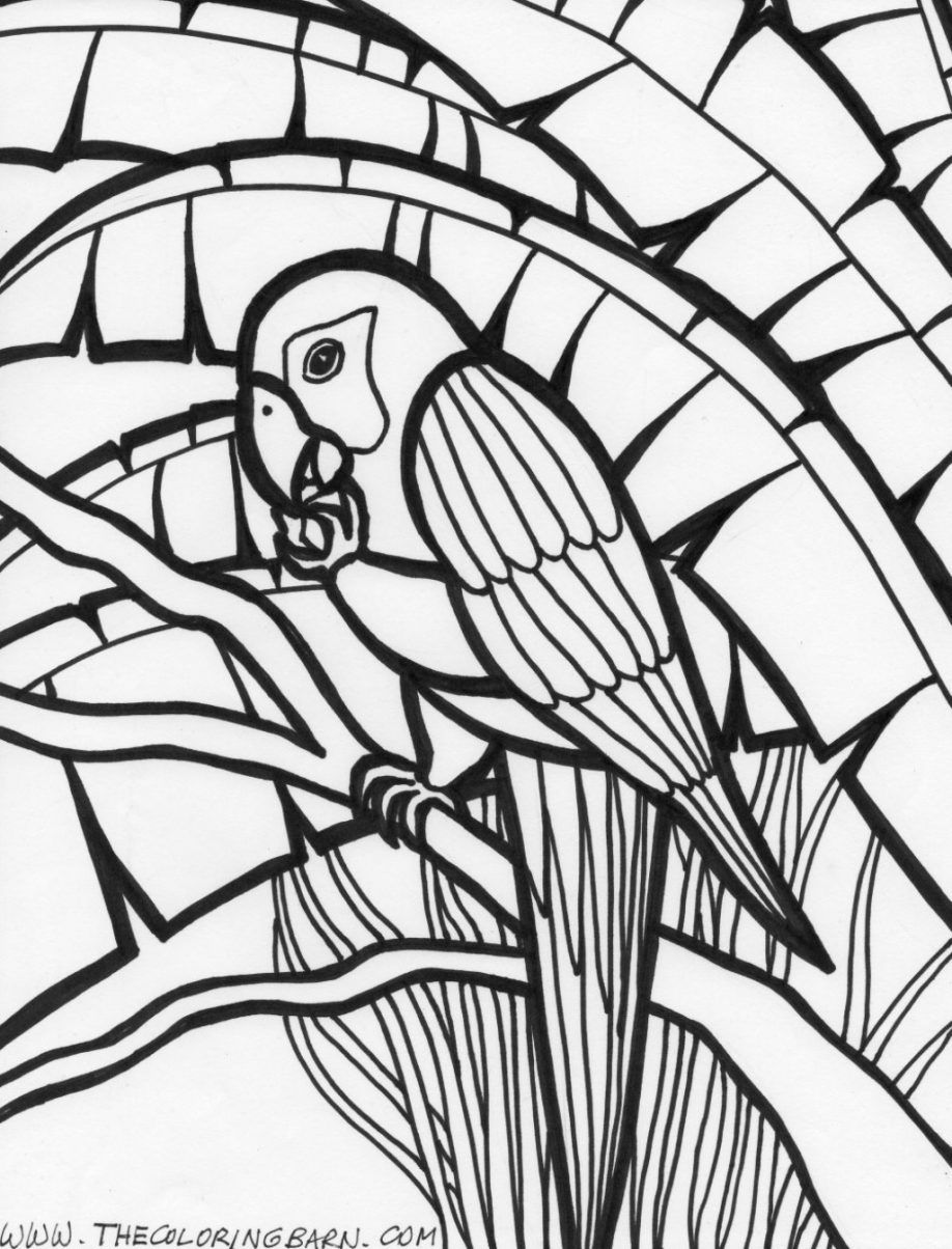 Rainforest Coloring Pages To Print Rainforest Coloring Pages. Kids ...