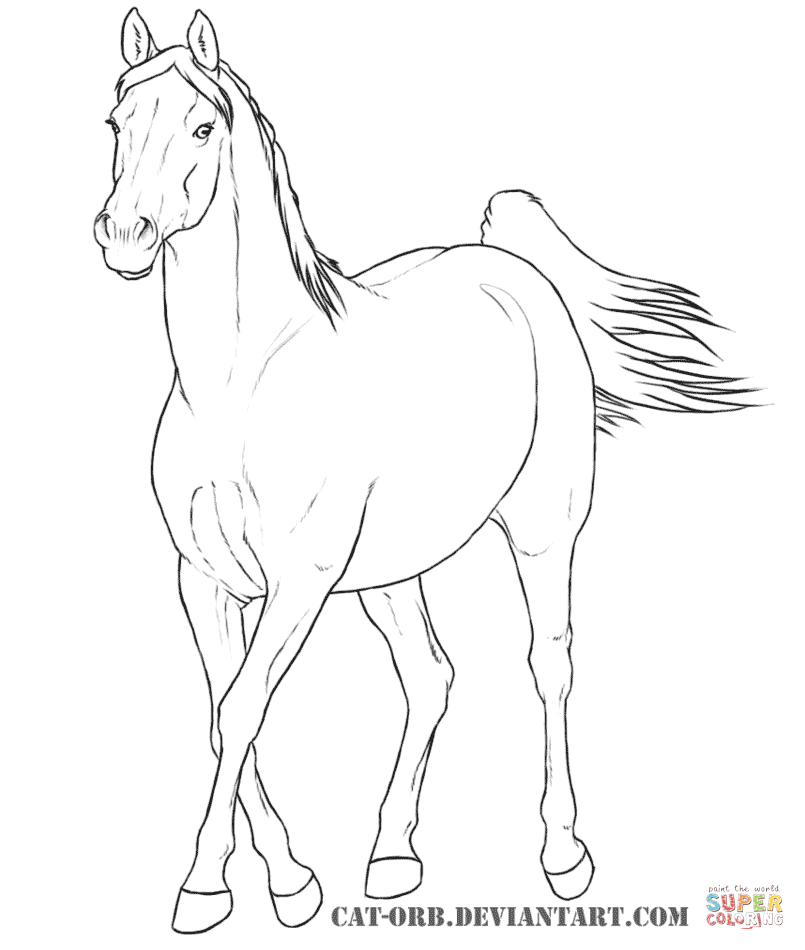 running horse coloring book pictures - WOW.com - Image Results ...