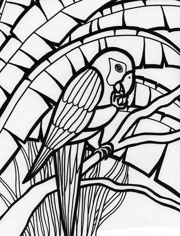 1000+ images about Parrot coloring pages on Pinterest | Coloring ...