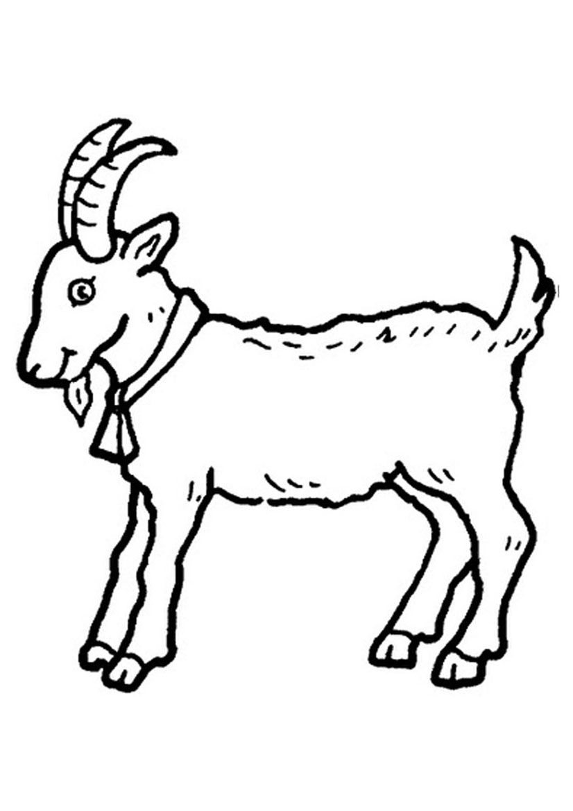 9 Pics of Cute Coloring Pages Goat - Three Billy Goats Gruff ...