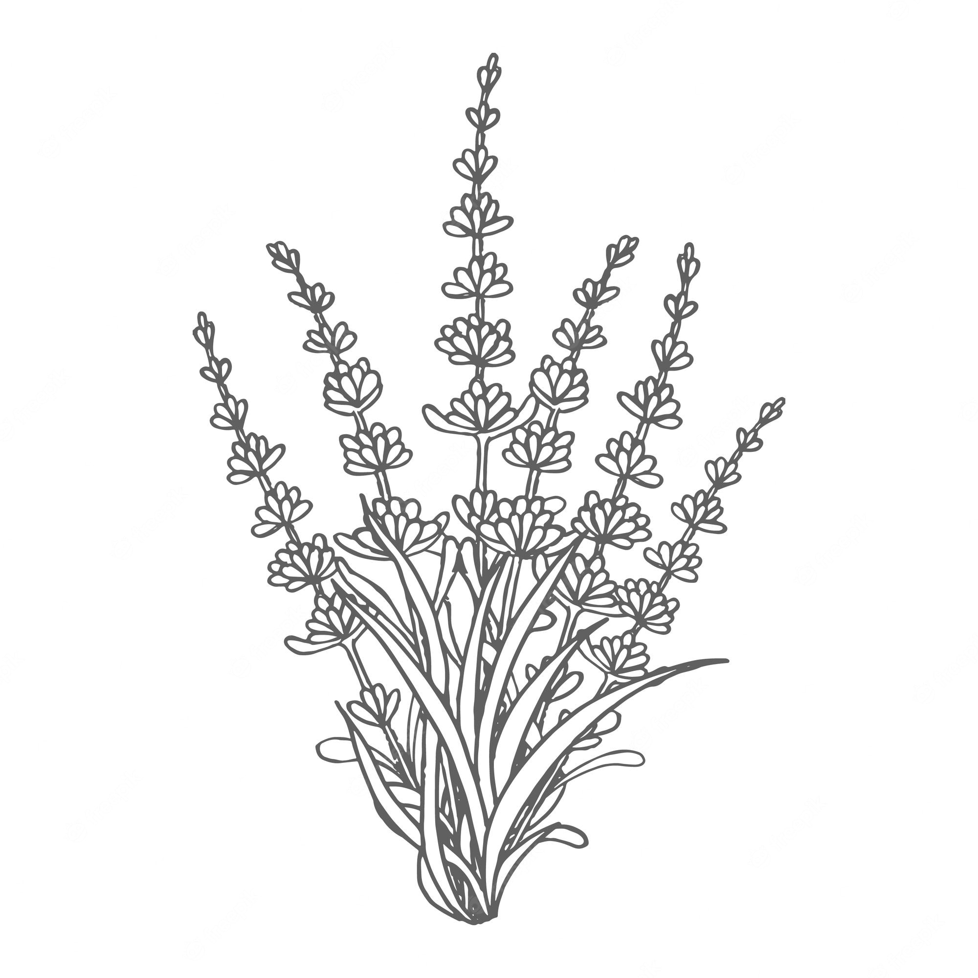 Premium Vector | Cute floral line art hand made drawings coloring pages for  kids and adult