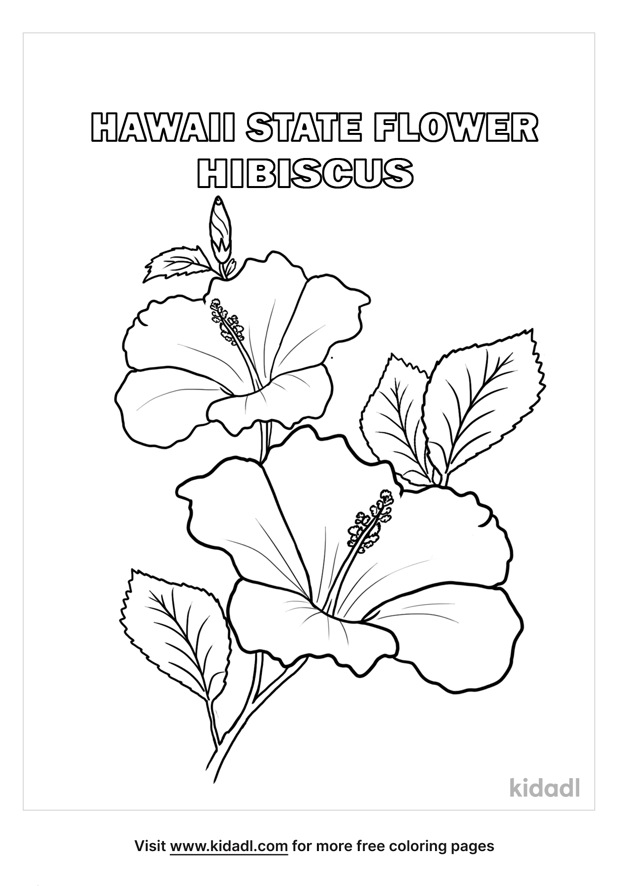 Hawaii State Flower Coloring Pages | Free Flowers Coloring Pages | Kidadl