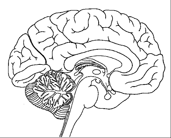 Quia - Nervous System: Master Control