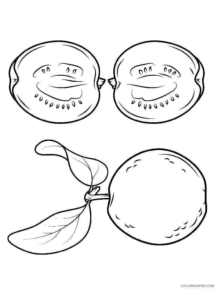 Guavas Coloring Pages Fruits Food Guavas fruits 5 Printable 2021 224  Coloring4free - Coloring4Free.com