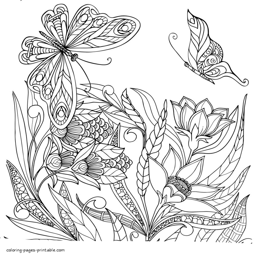 Butterfly Coloring Pictures For Adults || COLORING-PAGES-PRINTABLE.COM