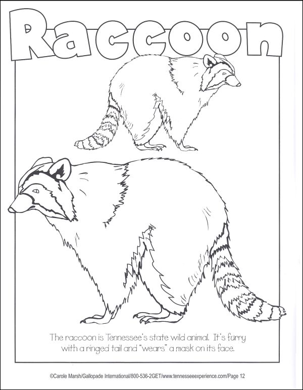 Tennessee Coloring Book | Gallopade International | 9780793398706