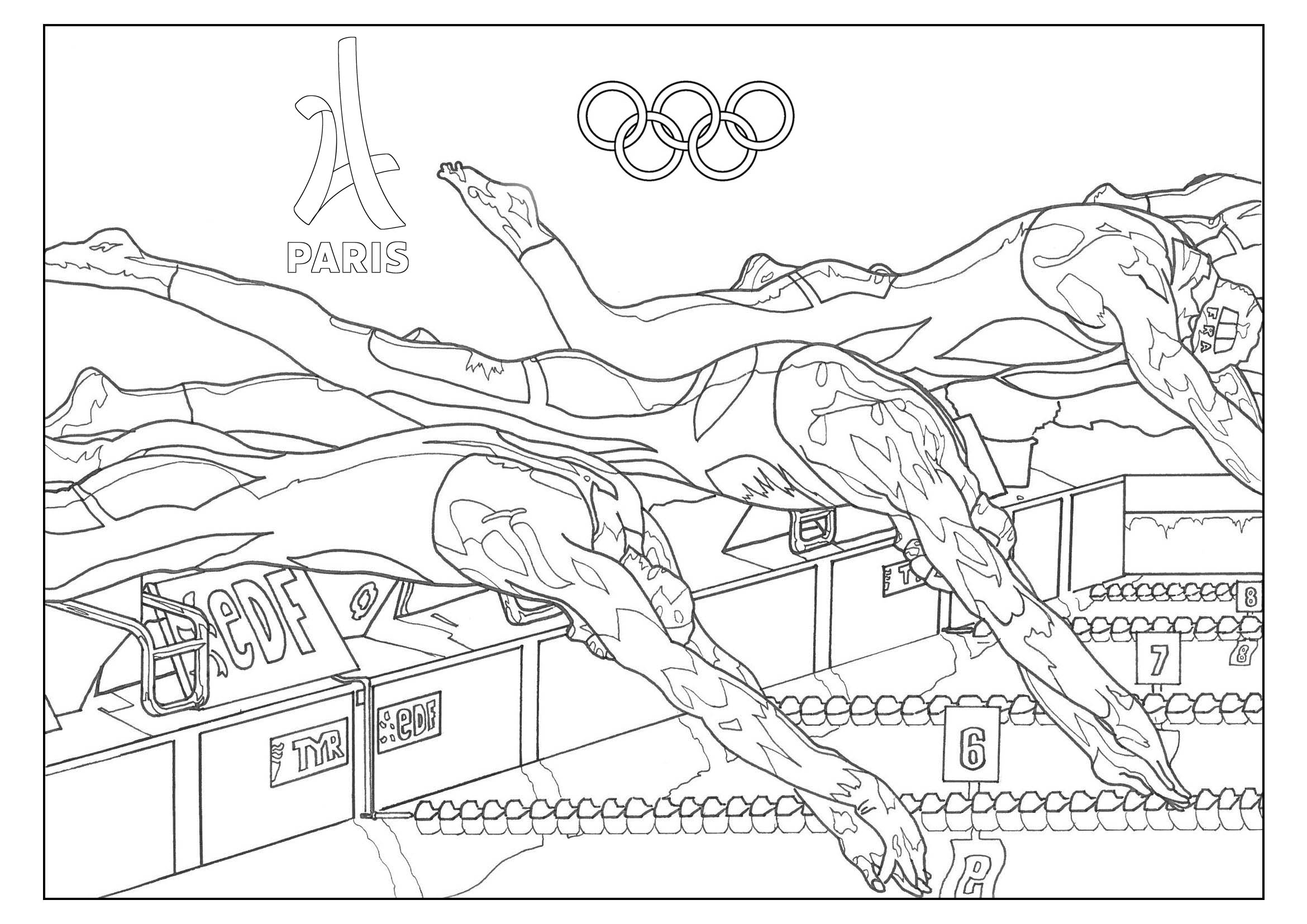 Olympic games swimming paris - 2024 - Olympic (and sport) Adult Coloring  Pages