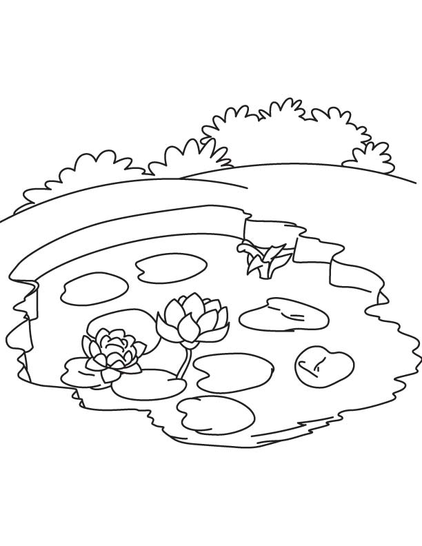 Pond Coloring Pages Free - High Quality Coloring Pages