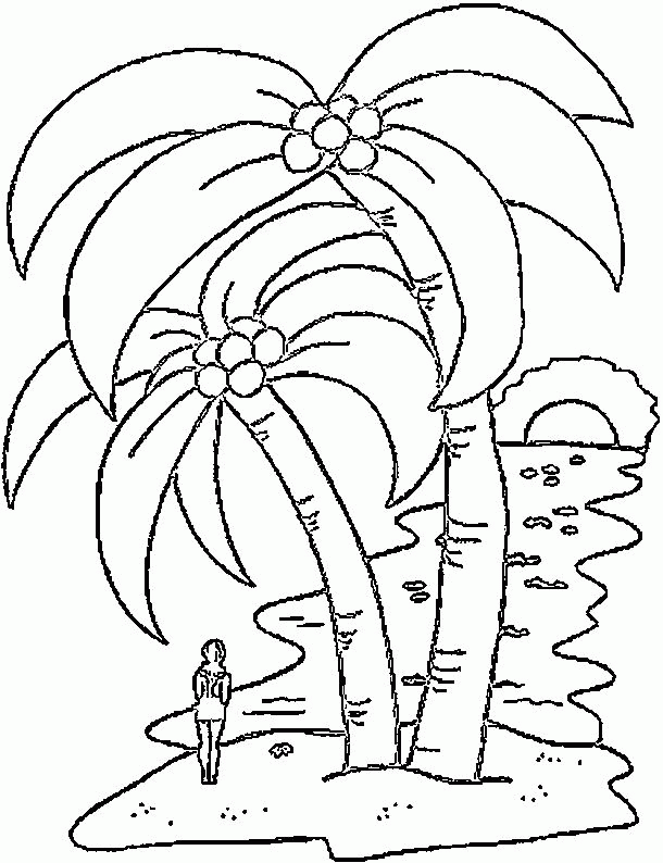 Palm Trees Coloring Pages #4 - Pages For Kids Az Coloring Pages ...