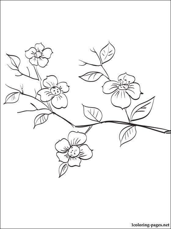 Flowering fruit tree branch coloring page | Coloring pages | Tree coloring  page, Spring tree, Flower outline tattoo