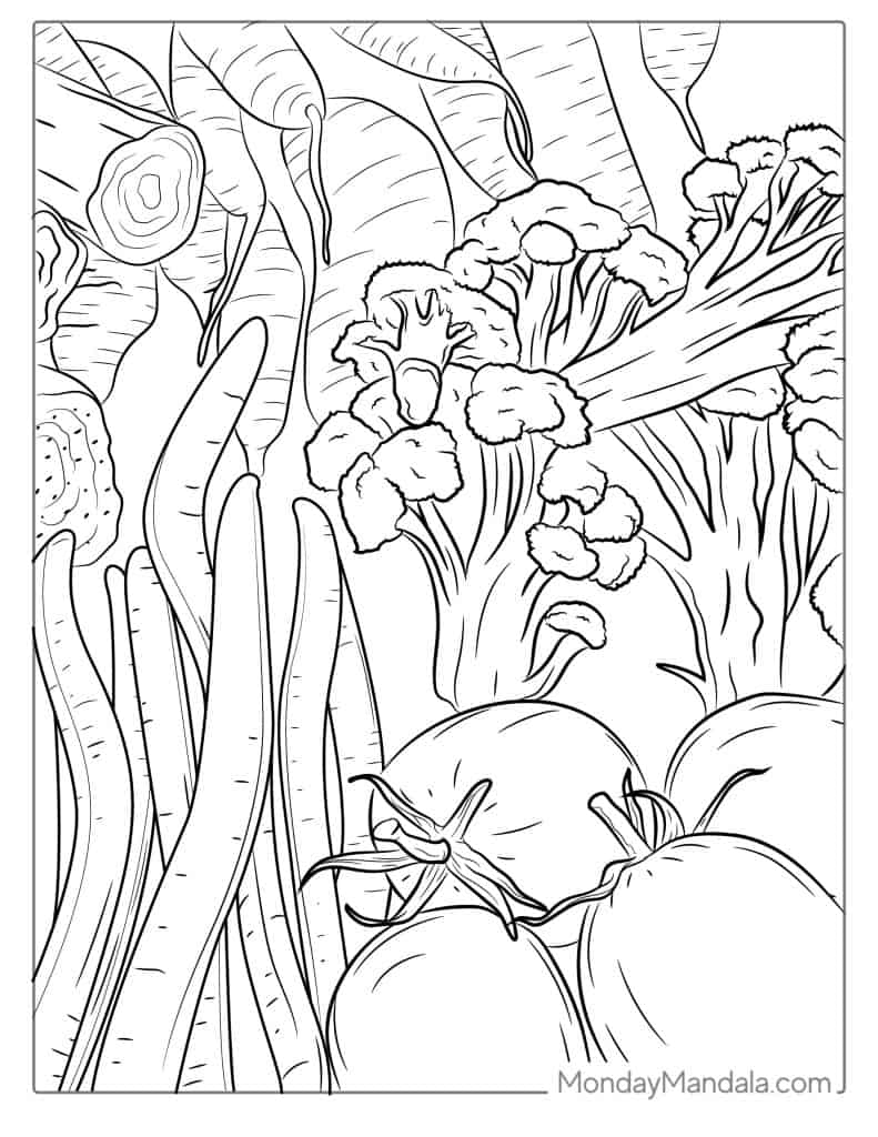 24 Vegetable Coloring Pages (Free PDF ...