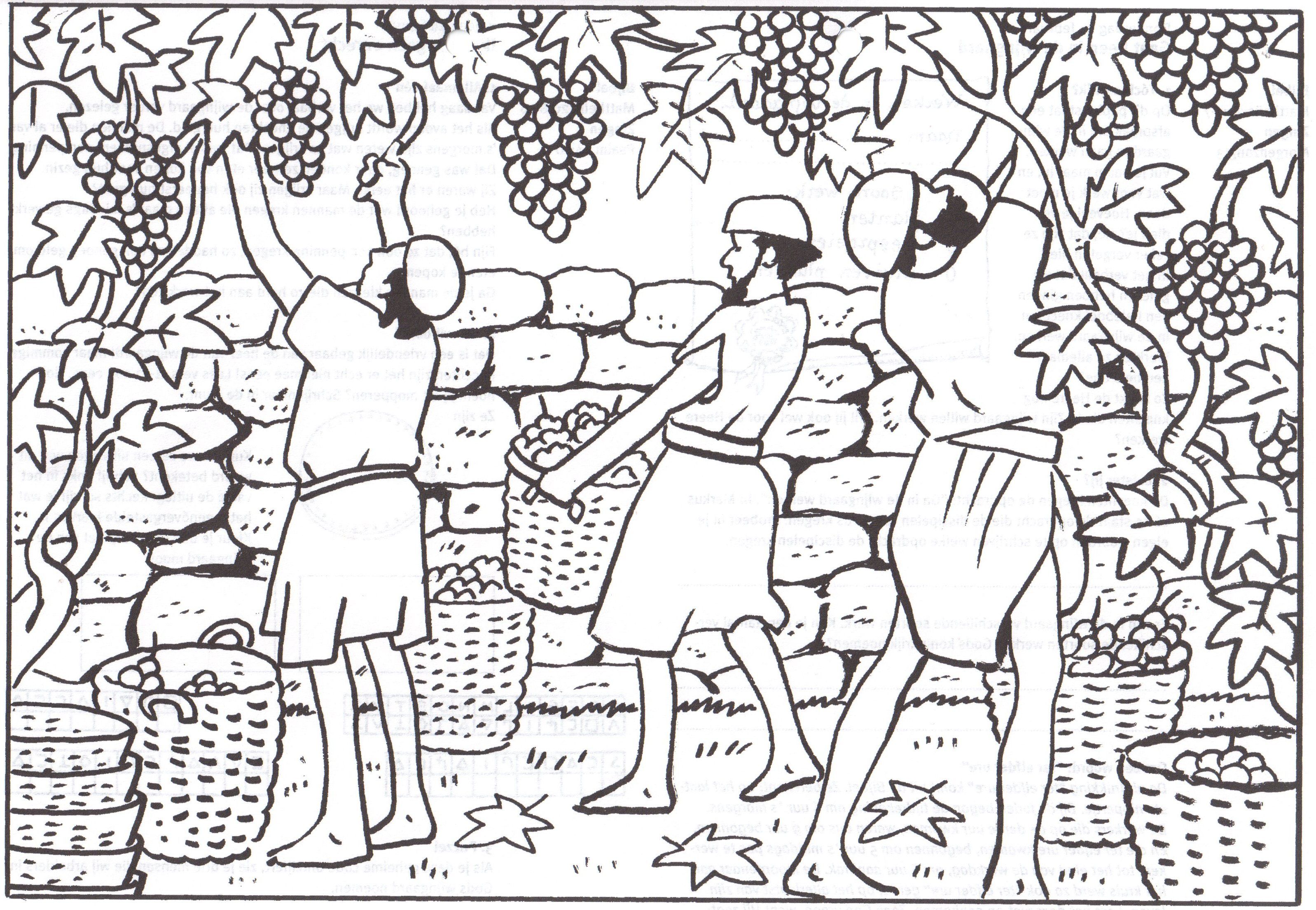 The Workers in the Vineyard - Bible ...