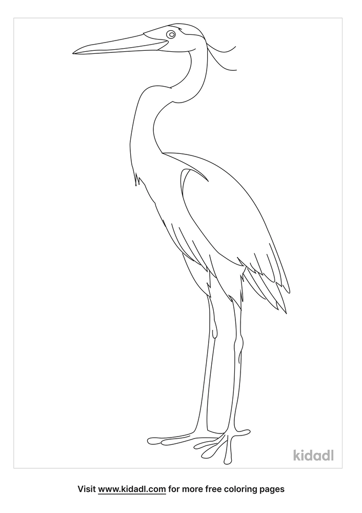 Heron Coloring Page | Free Birds Coloring Page | Kidadl