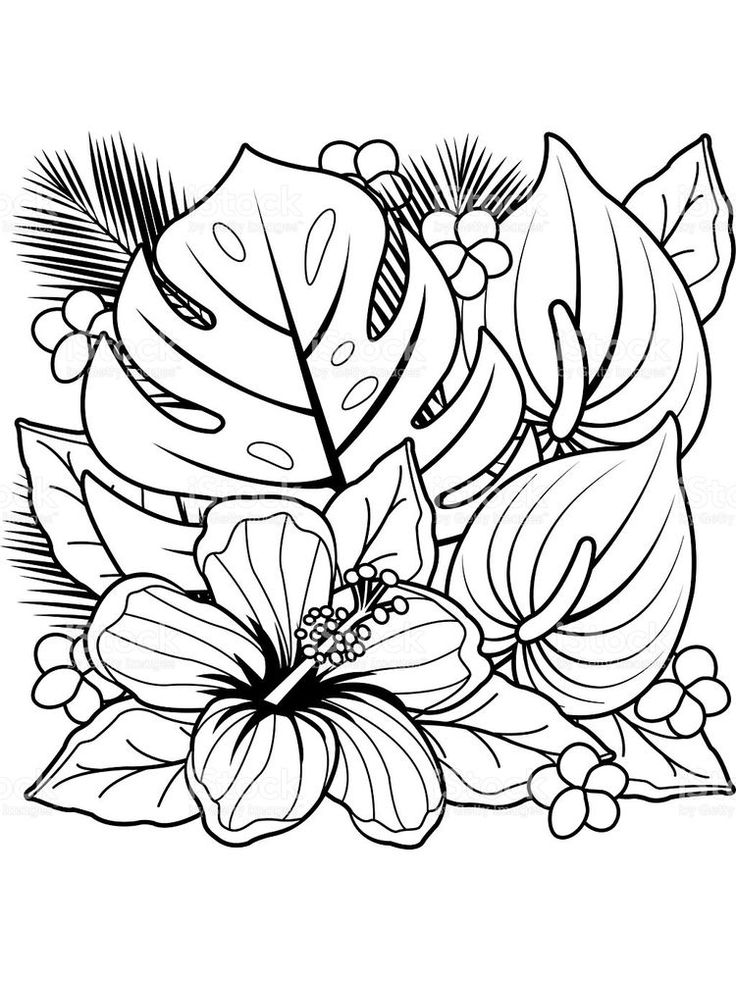 Flower Coloring Pages Hd. Below is a collection of Beautiful Flower Coloring  Pag… | Printable flower coloring pages, Flower coloring sheets, Coloring  pages to print