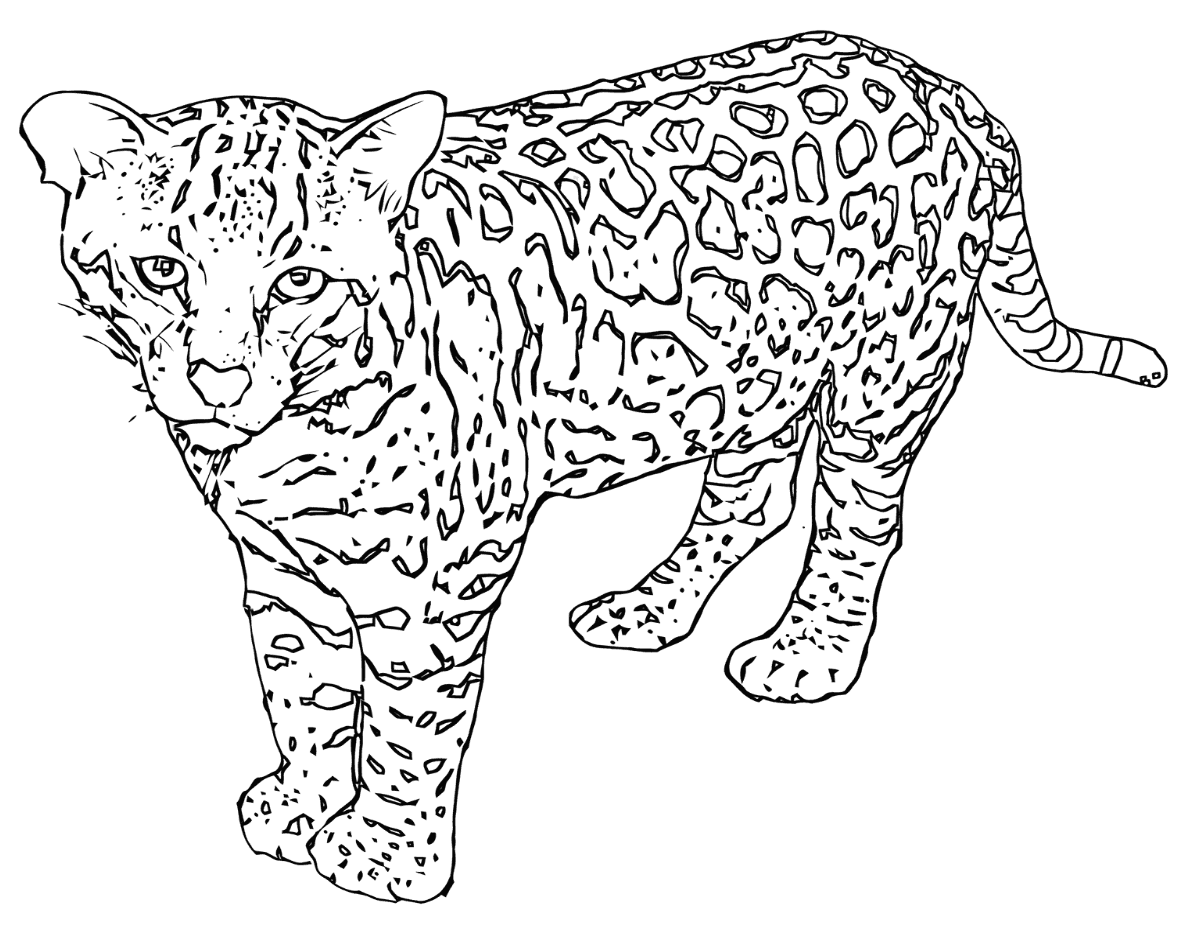 Snow Leopard Cartoon Coloring Page (Page 1) - Line.17QQ.com
