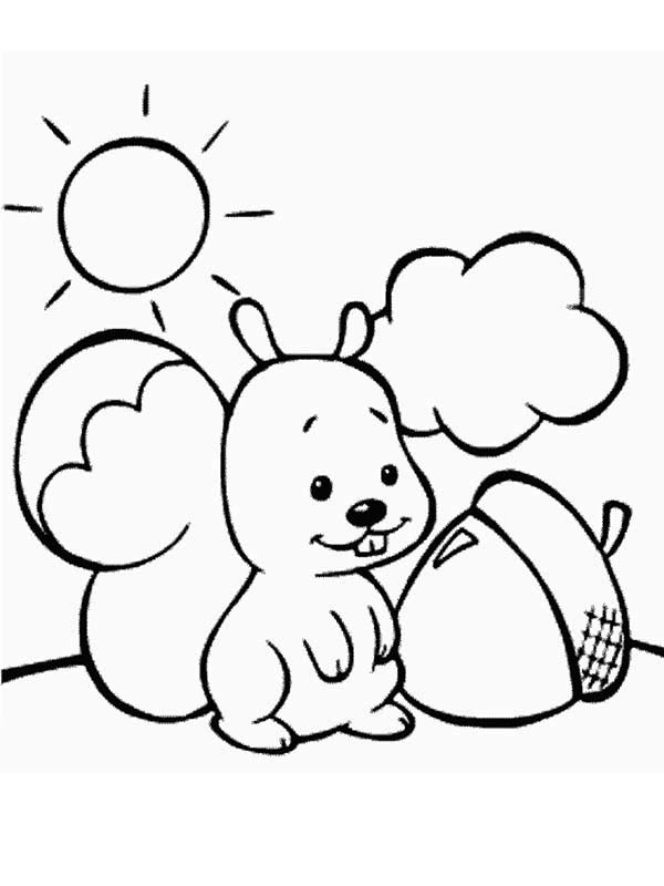 How to Color Cute Baby Squirrel And Oak Nut Coloring Page : TOODSY COLOR