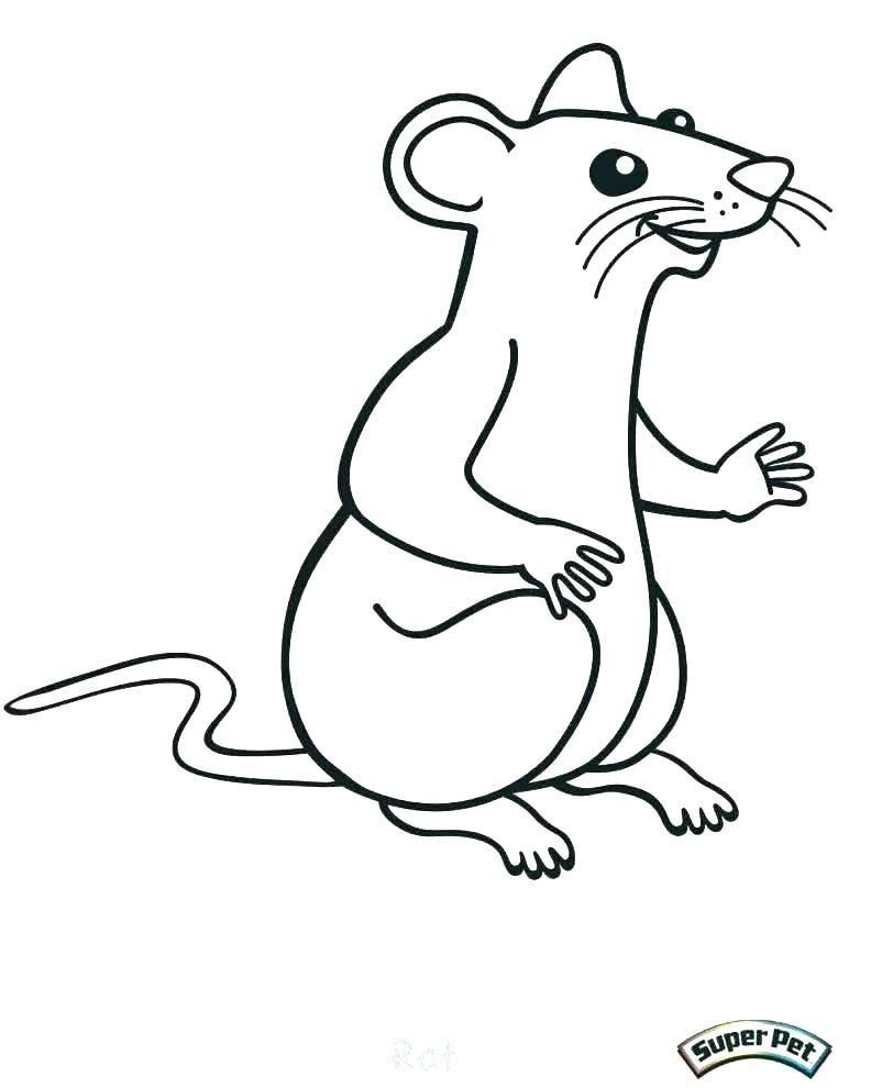 Beautiful Lab Rats Coloring Pages For Skunk Coloring Pages Flower ...