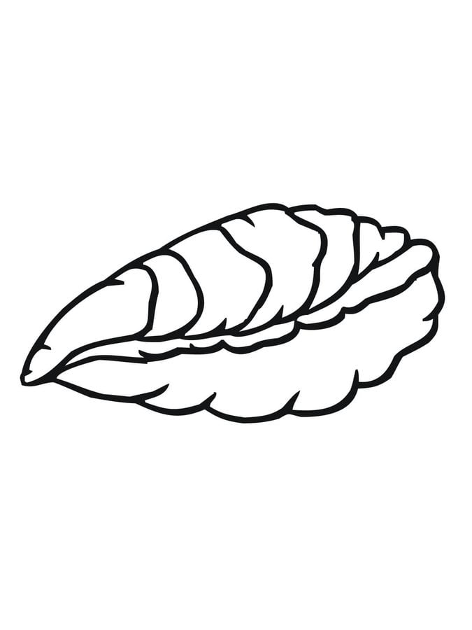 Coloring pages: Oyster, printable for kids & adults, free