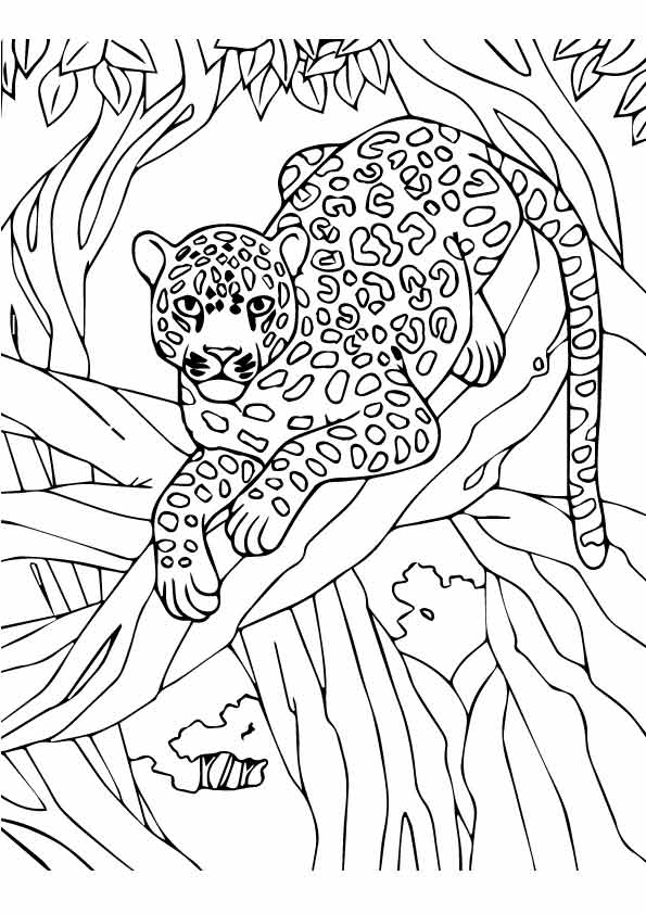 Free Printable Leopard Coloring Pages, Leopard Coloring Pictures for  Preschoolers, Kids | Parentune.com