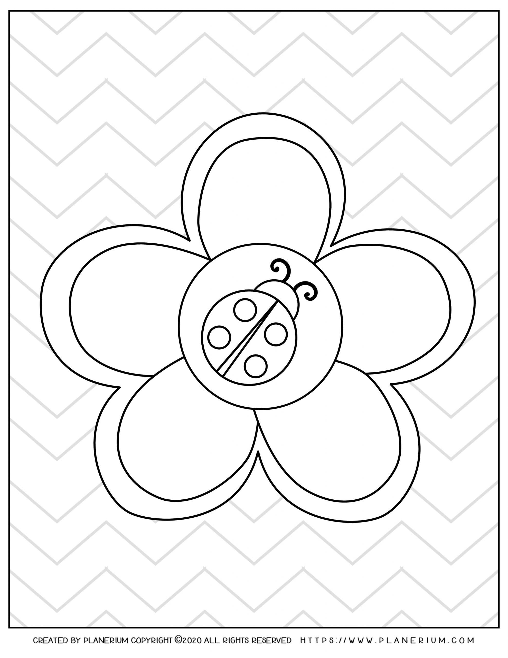 Spring - Coloring page - Ladybug on a Flower Zig-zag BG | Planerium