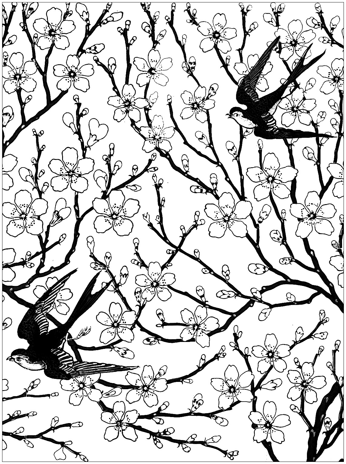 Almond blossom and swallow - Flowers Adult Coloring Pages