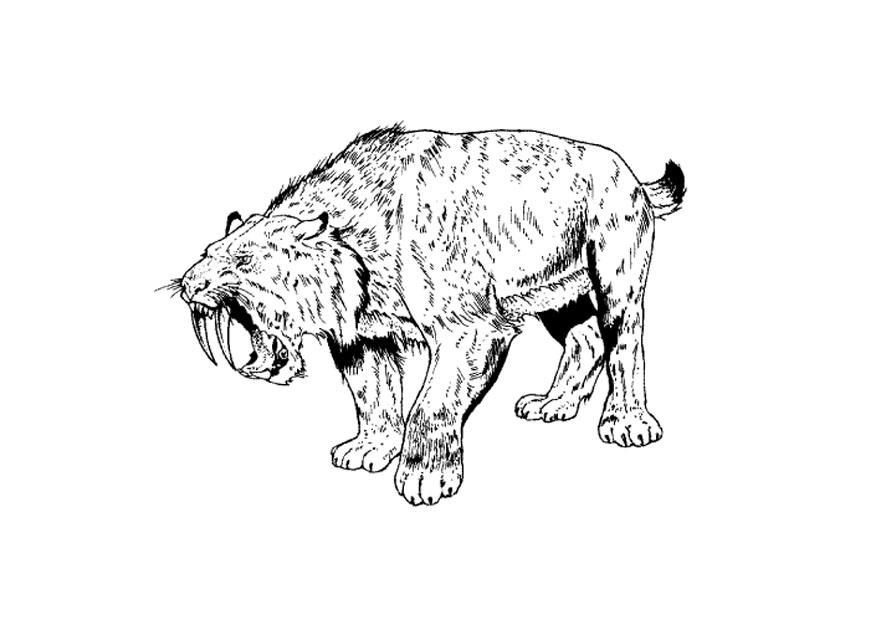 Coloring Page saber tooth tiger - free printable coloring pages - Img 9106