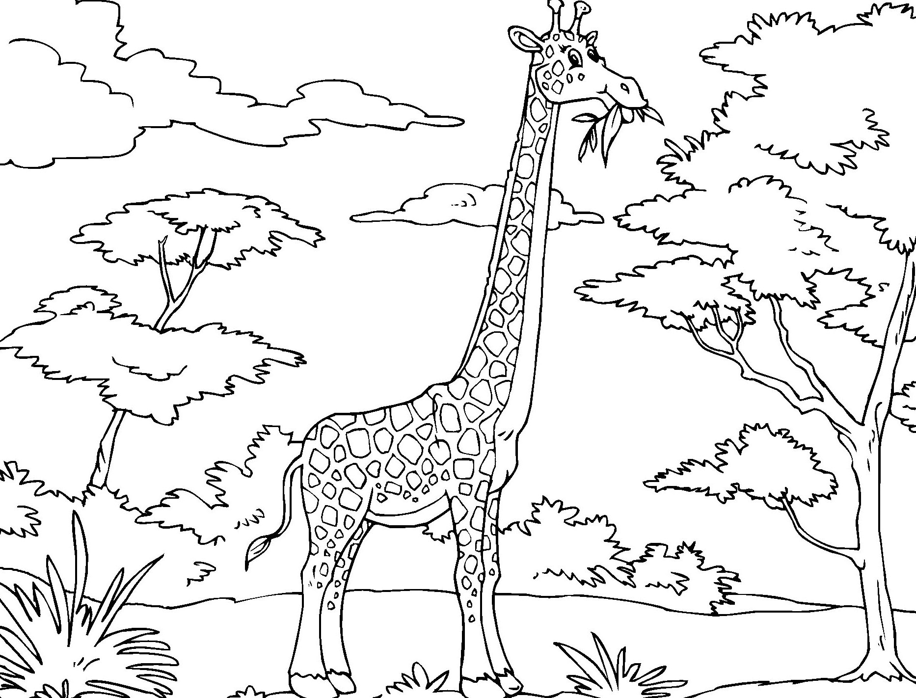 Free Giraffe Coloring Pages - Get Coloring Pages