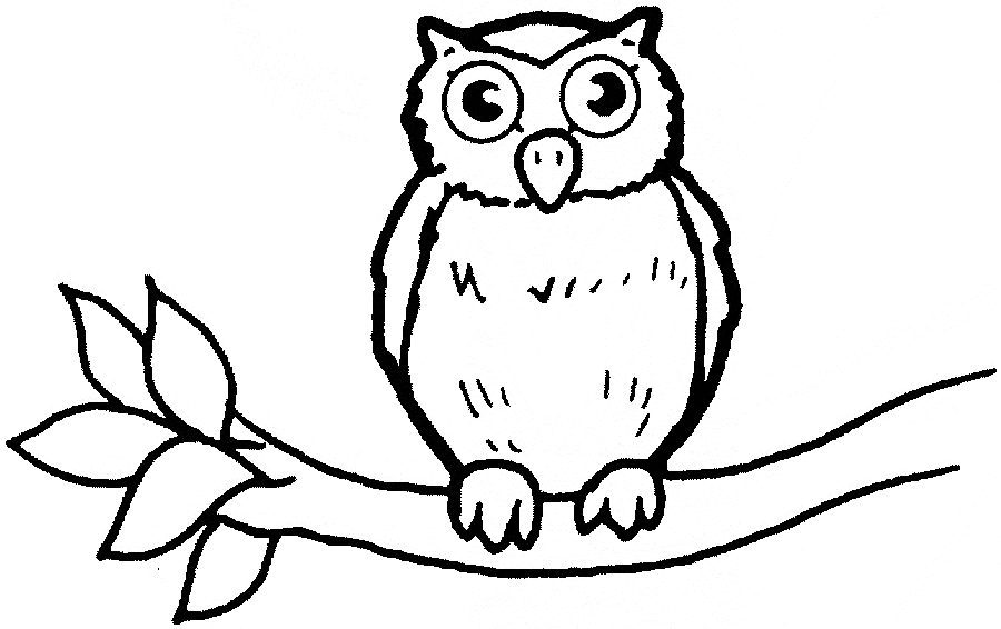 Owl a branch coloring page - Owl free printable coloring pages animals