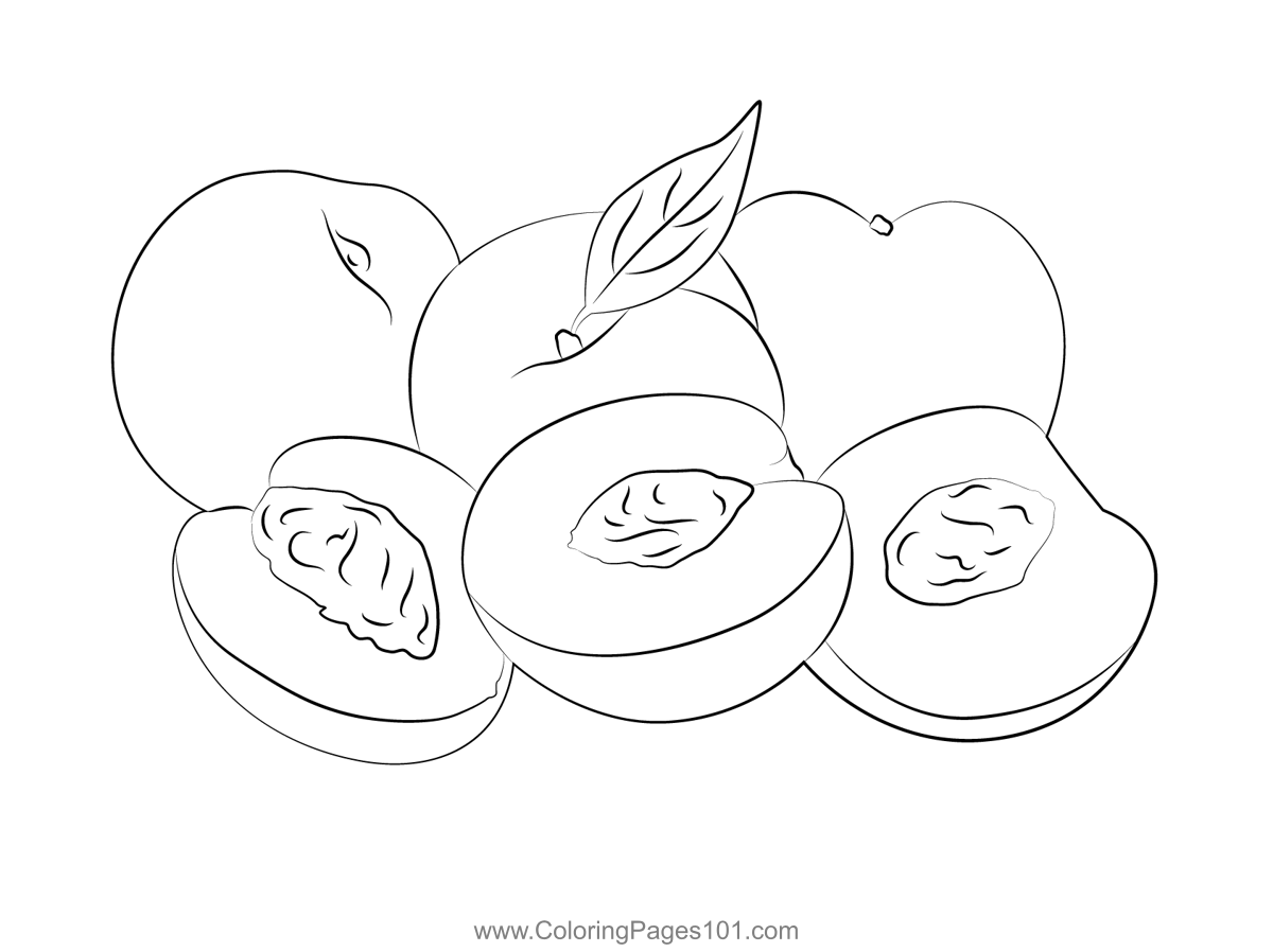 Peaches And Nectarines Coloring Page for Kids - Free Nectarine Printable Coloring  Pages Online for Kids - ColoringPages101.com | Coloring Pages for Kids