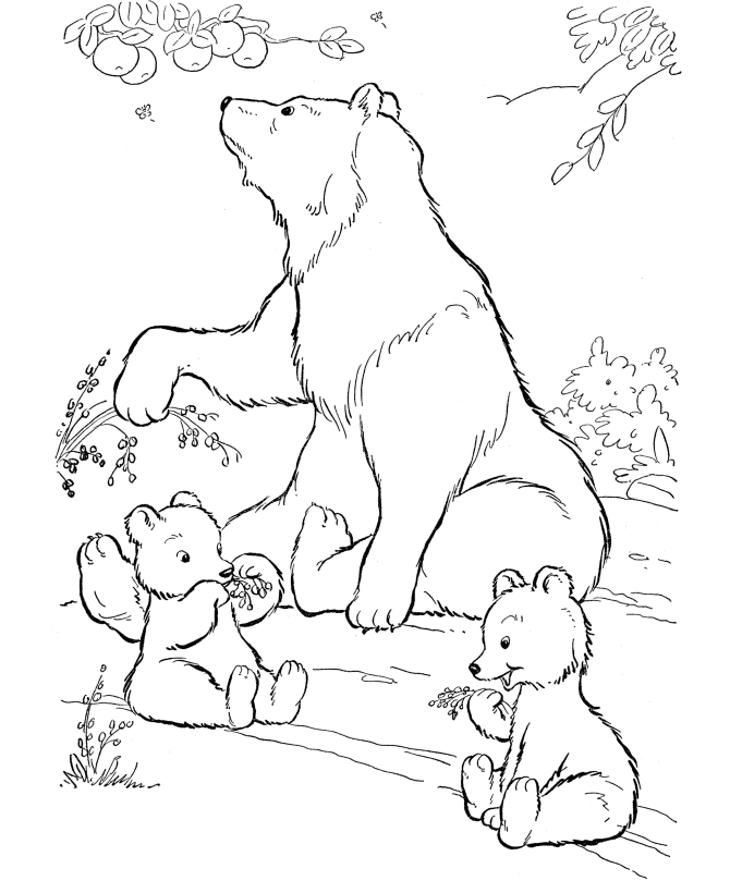 Polar-Bear-Coloring-Pages-Free 