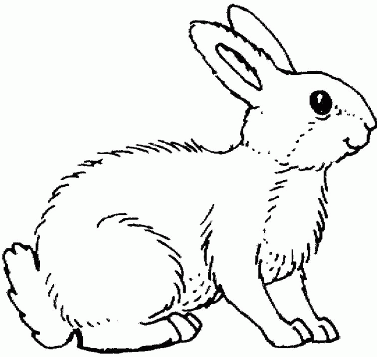 Great And Funny Rabbit Coloring Pages - Rabbit Coloring Pages 