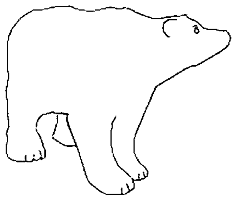 Drawings Of A Bear