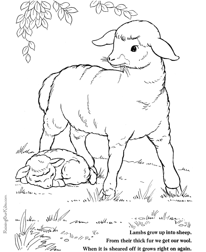passover lamb Colouring Pages