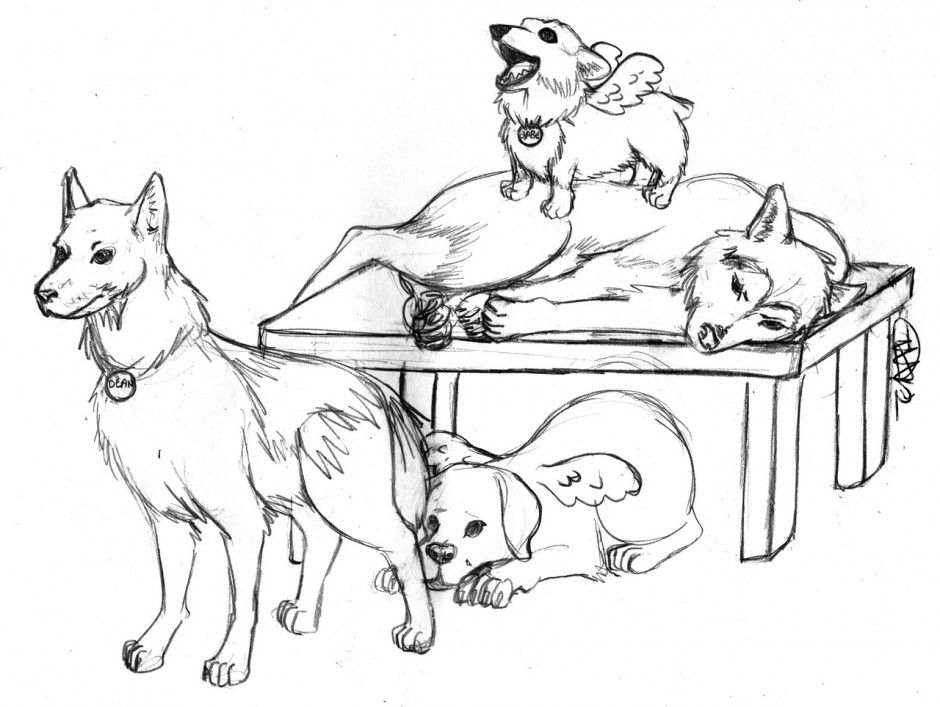 Dog Printable Coloring Pages Printable Husky Dog Coloring Pages 