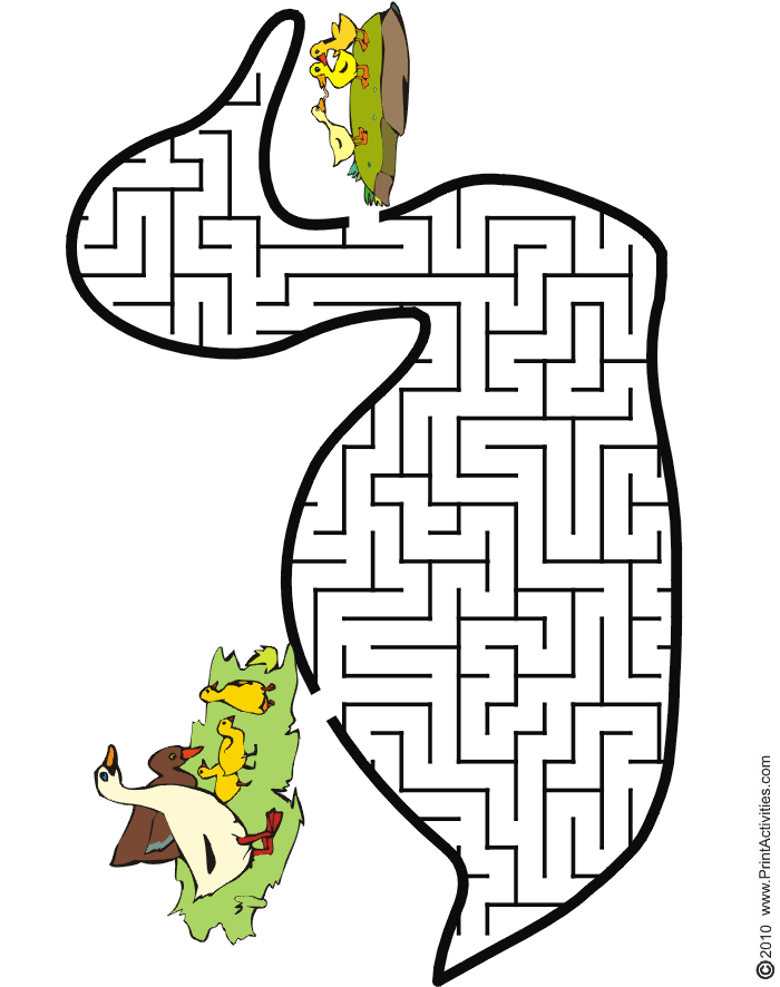 Duck Maze: shaped like a duck