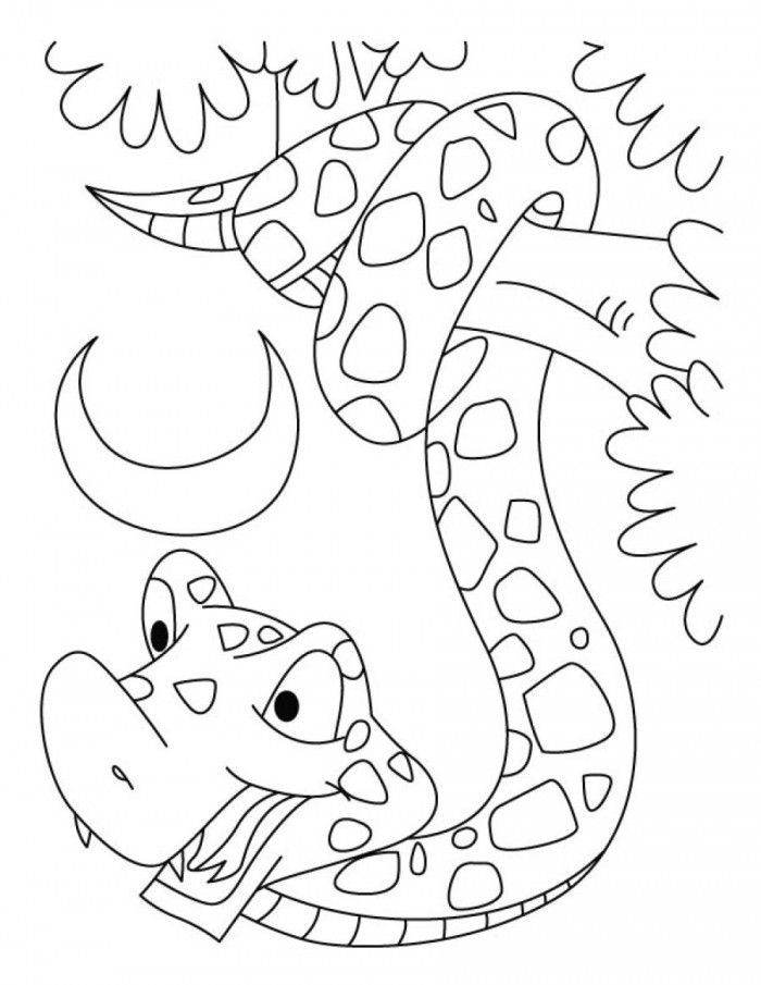 Snake Coloring Pages Games