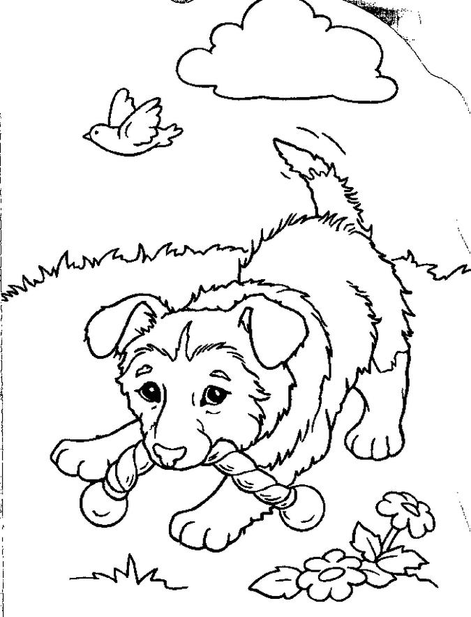 Puppy Coloring in Pages | Puppy Coloring