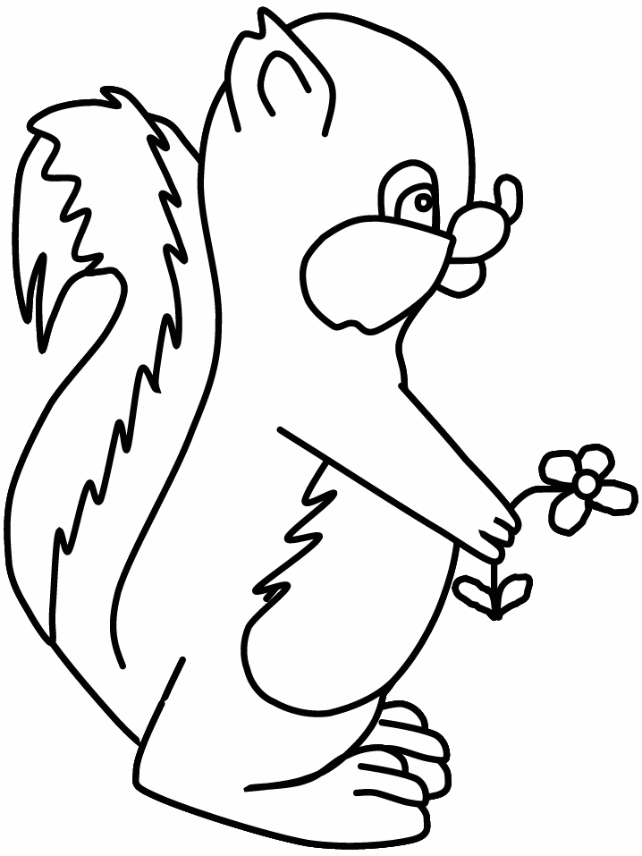Pin Skunks Coloring Pages Super Cake