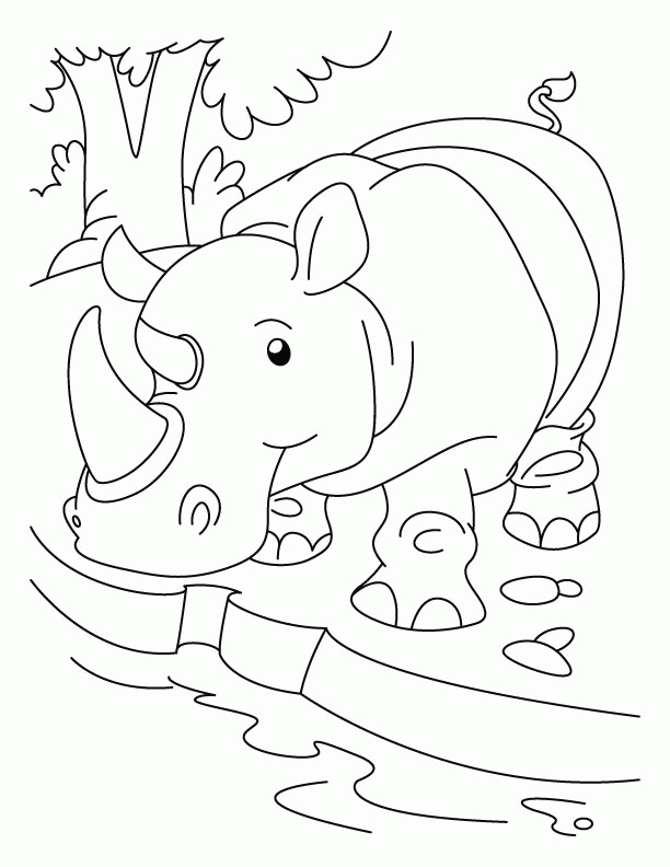 Rhinoceros quenching his thirst coloring pages | Download Free 