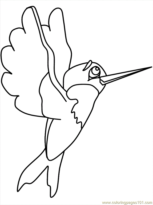 Coloring Pages Bird Coloring 38 (Animals > Birds) - free printable 